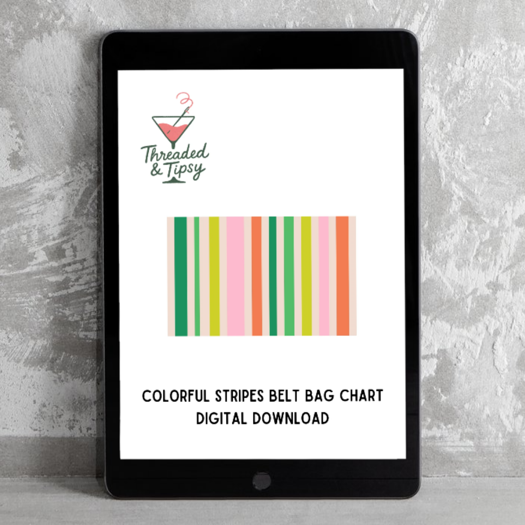 Colorful Stripes Digital Needlepoint Chart for Belt Bag or Clutch