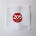205 Ornament Needlepoint Canvas
