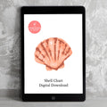 Seashell Chart
